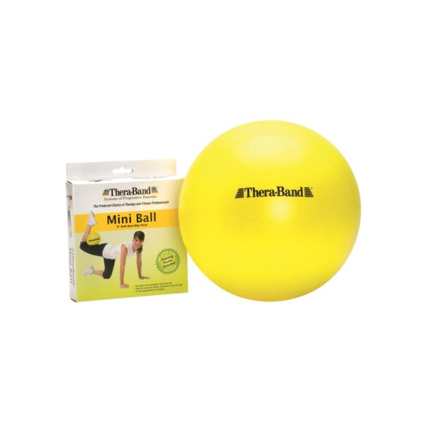 HYGENIC/THERA-BAND PRO SERIES SCP   EXERCISE BALLS