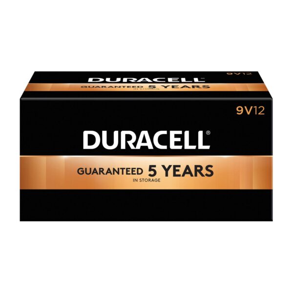 DURACELL  COPPERTOP  ALKALINE BATTERY WITH DURALOCK POWER PRESERVE   TECHNOLOGY