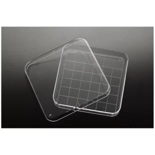 SIMPORT PETRI DISH